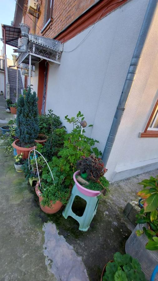 Boutique Hotel Pʼotʼi Exteriér fotografie